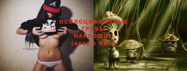 герыч Алексин